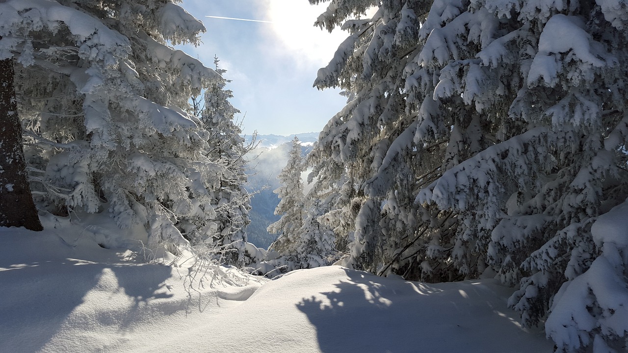 雪域速度與激情，高山滑雪的魅力