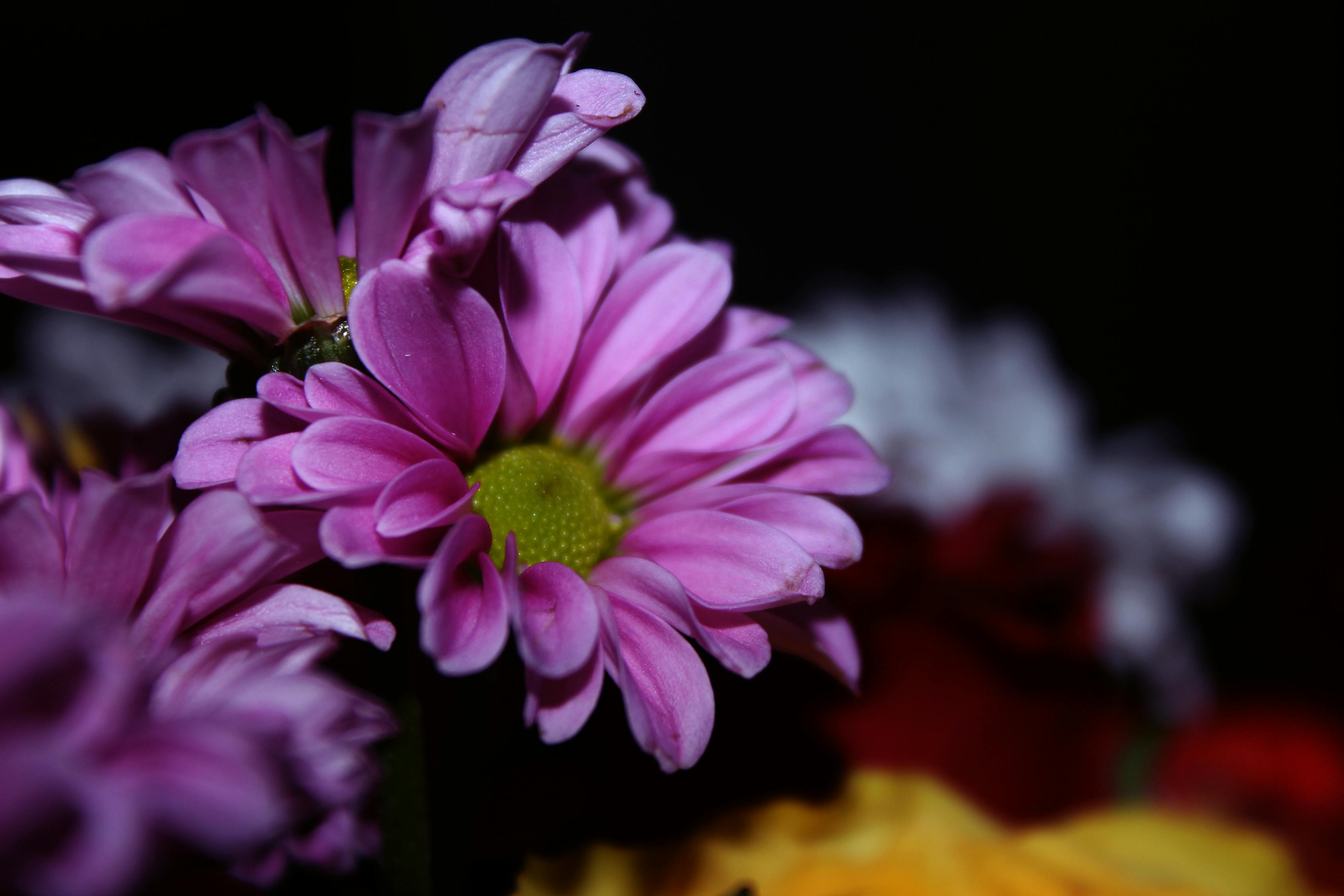 生命的循環(huán)，開(kāi)花與結(jié)果的成長(zhǎng)力量