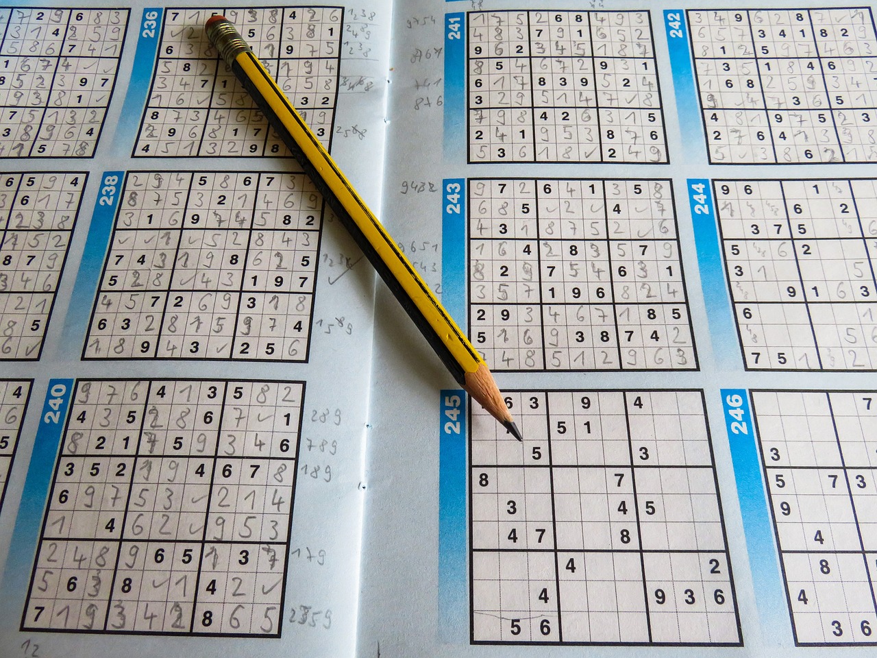 管家婆精準(zhǔn)一碼解析，詳盡解答_立冬時(shí)刻20：53